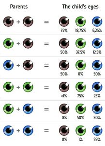 Genetika farby očí